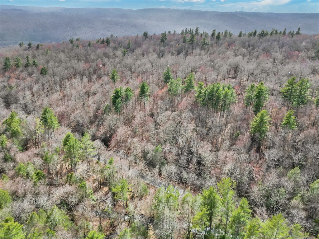 0 Skyline Trail Property Photo 6