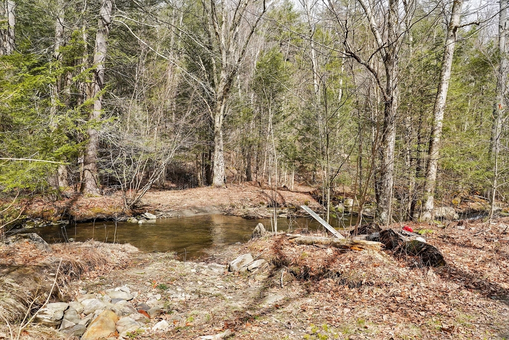 0 Skyline Trail Property Photo 7