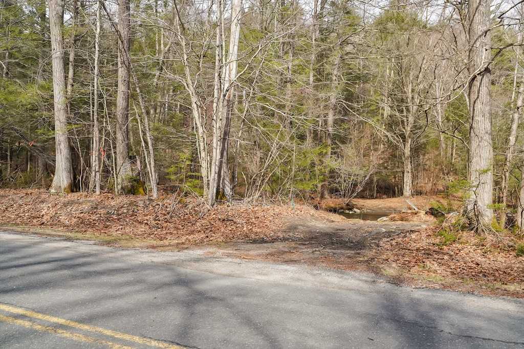 0 Skyline Trail Property Photo 9
