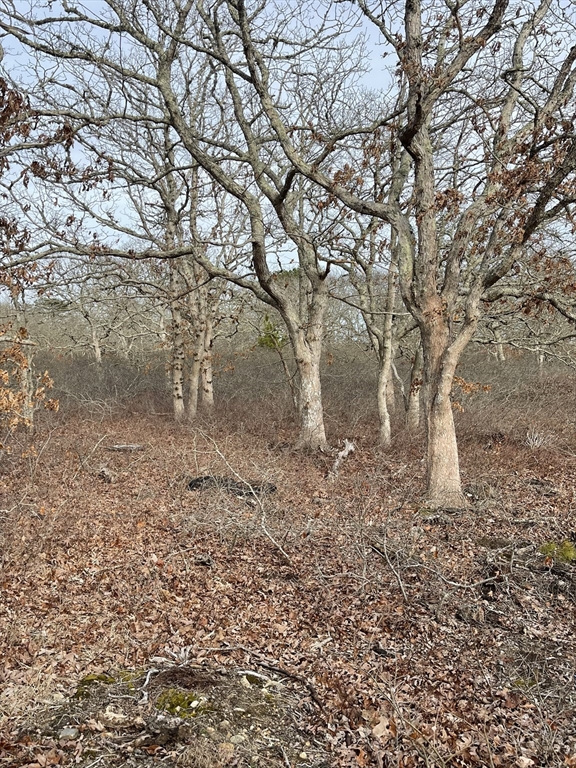 22 Bramble Path Property Photo 1