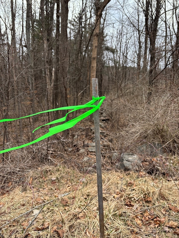56 Hubbardston Rd Property Photo 3