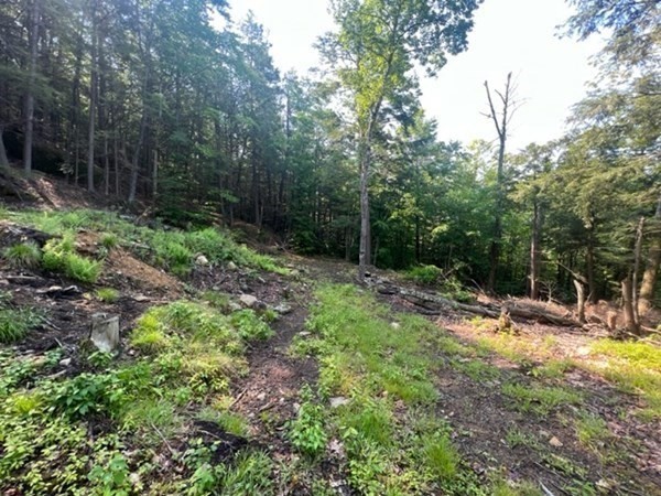 0 East Rd Property Photo 2
