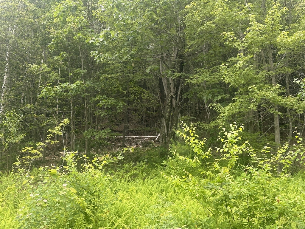 Lot 2 10 Beulah Land Rd. Property Photo 7