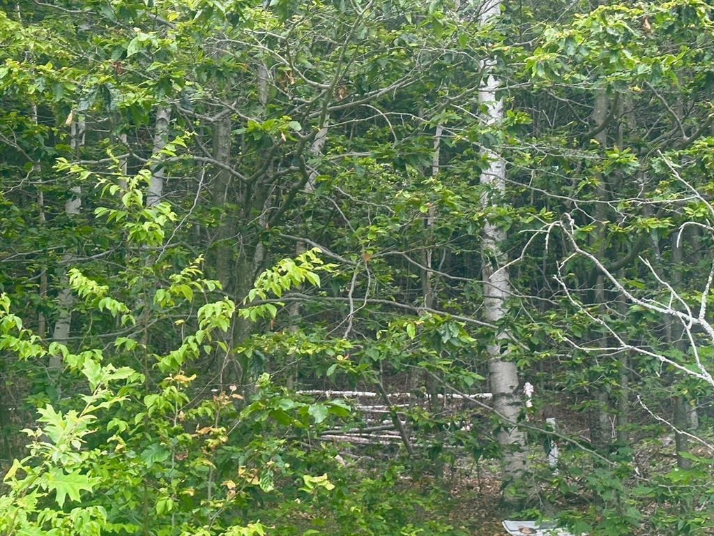 Lot 2 10 Beulah Land Rd. Property Photo 8