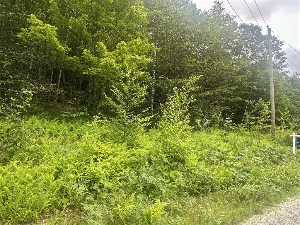 Lot 2 10 Beulah Land Rd. Property Photo 9