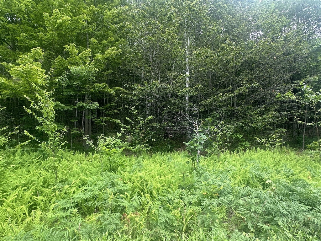 Lot 2 10 Beulah Land Rd. Property Photo 10