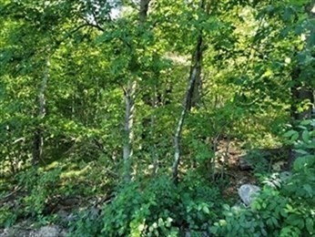 0 Lot 2 Davis Road Property Photo 3