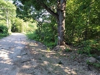 0 Lot 3 Davis Road Property Photo 1