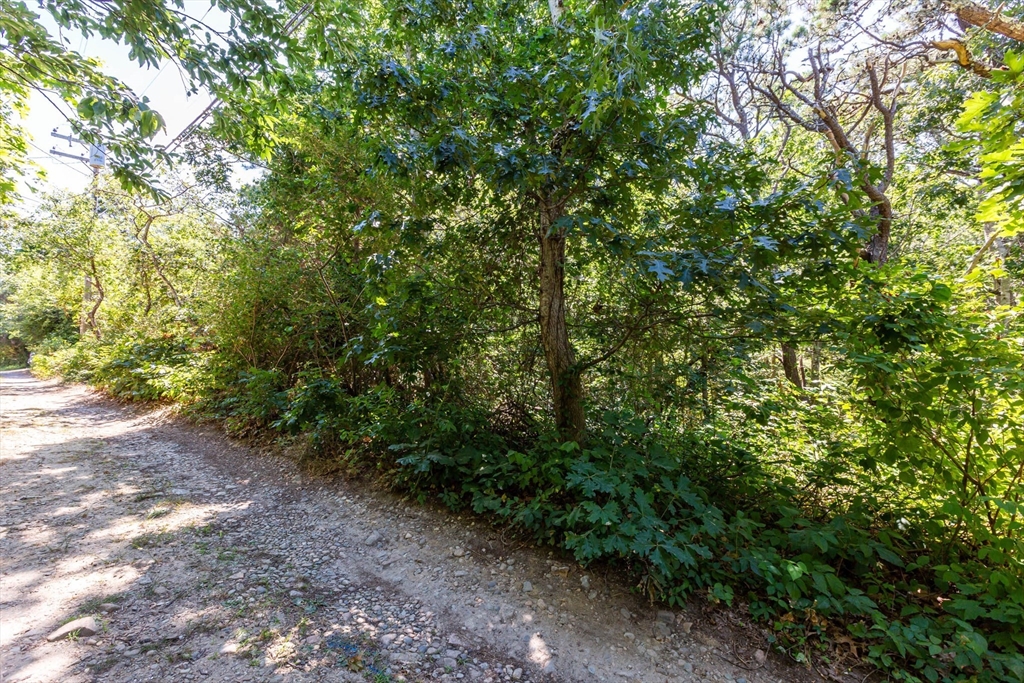 0 Partridge Circle Property Photo 3