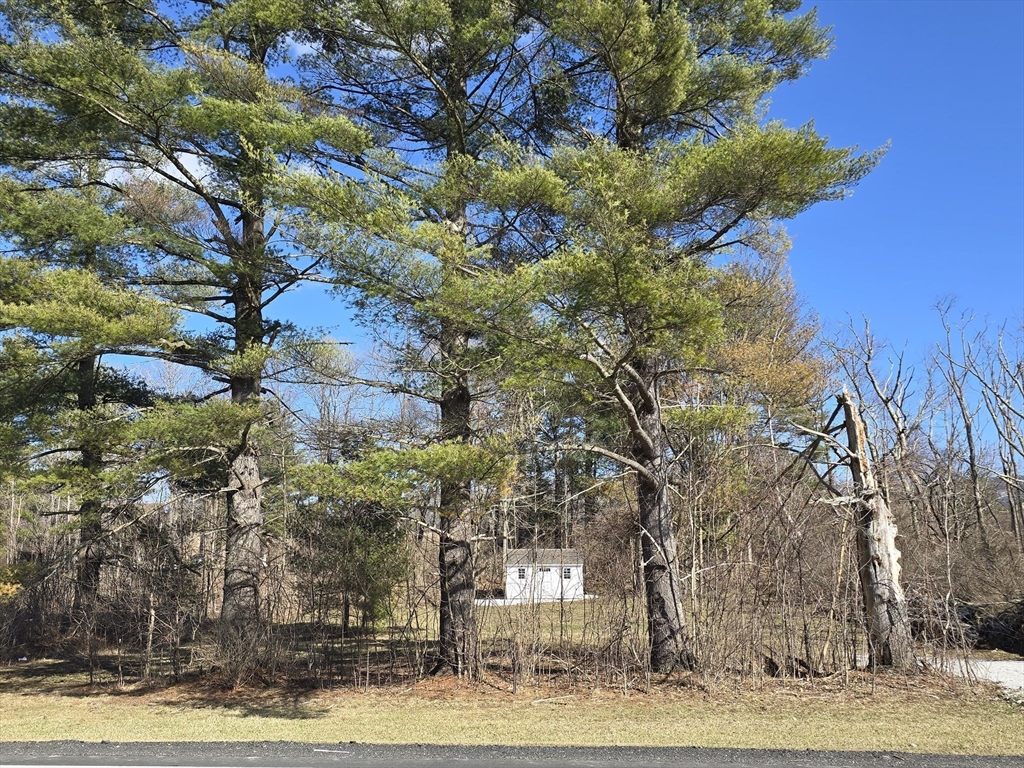1460 Cold Spring Rd. Property Photo 3