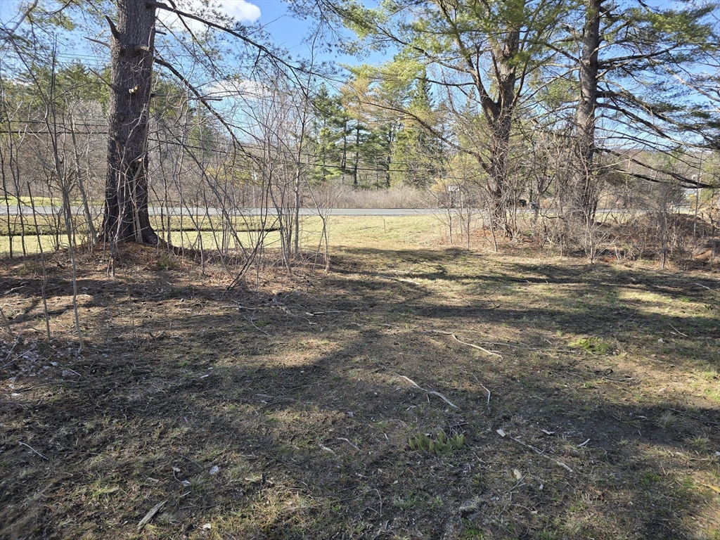 1460 Cold Spring Rd. Property Photo 6