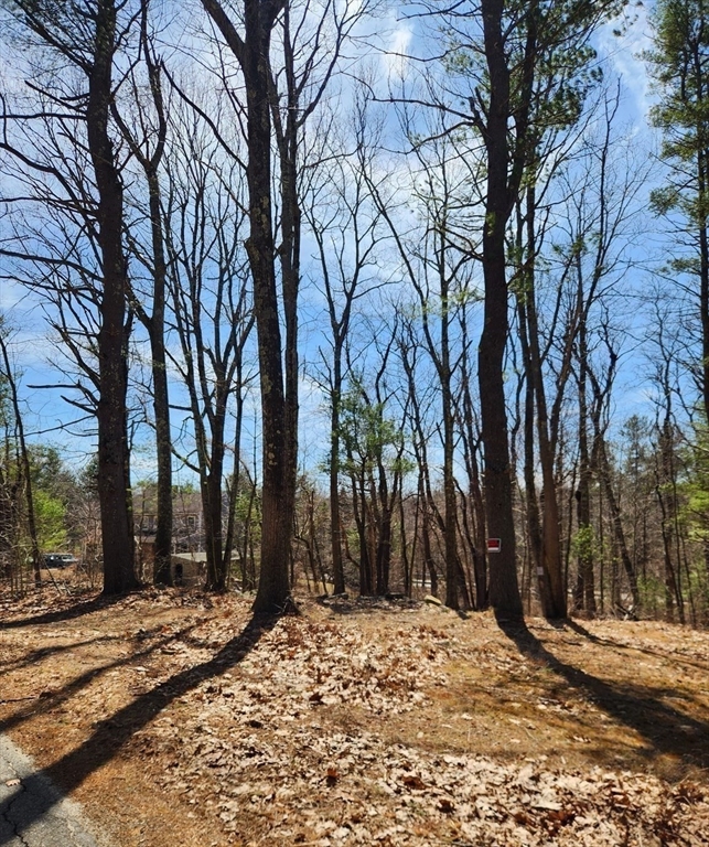 236 Turkey Hill Rd Property Photo 4