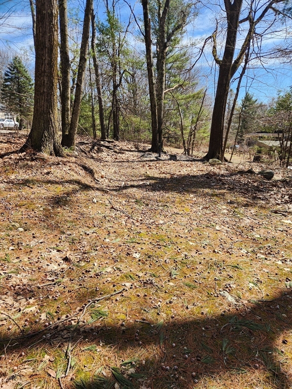 236 Turkey Hill Rd Property Photo 5