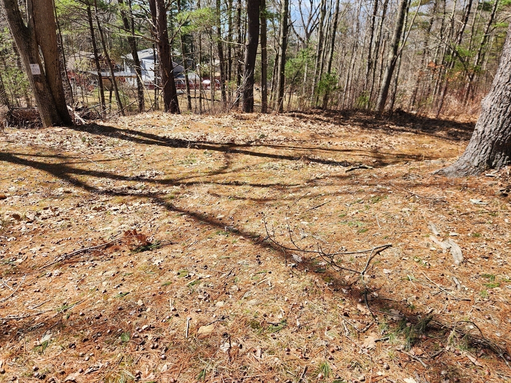236 Turkey Hill Rd Property Photo 7