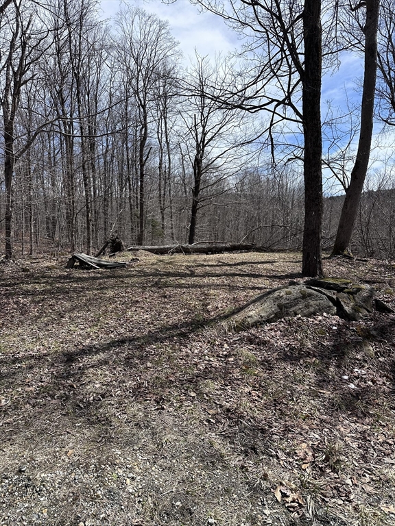 Lot 27 South Road Ext Property Photo 1