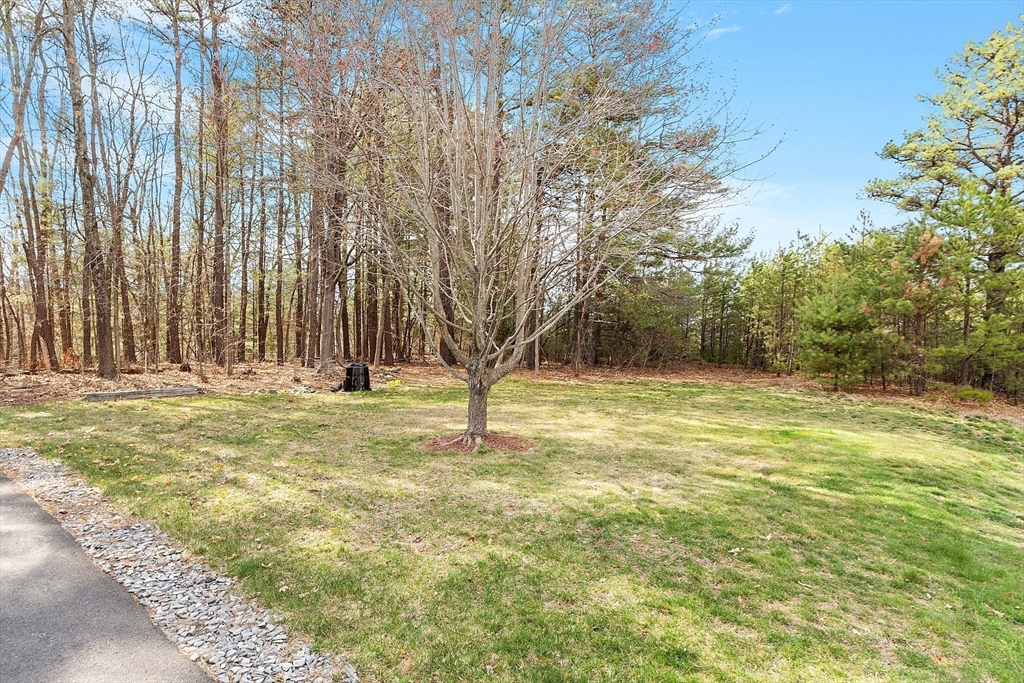 33 Auman St Property Photo 8