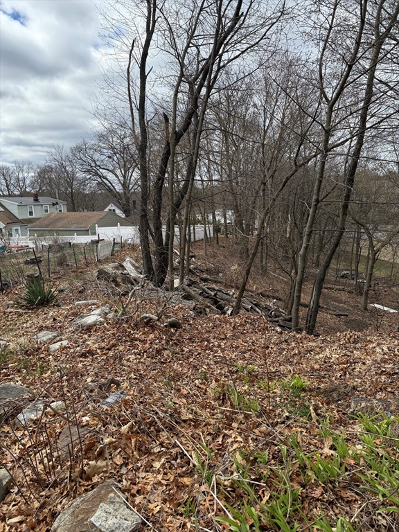 0 Madison St (rear) Property Photo 2