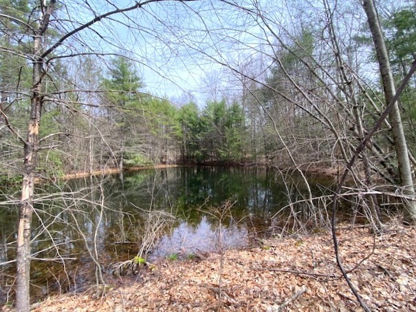 7-l New Athol Rd Property Photo 2