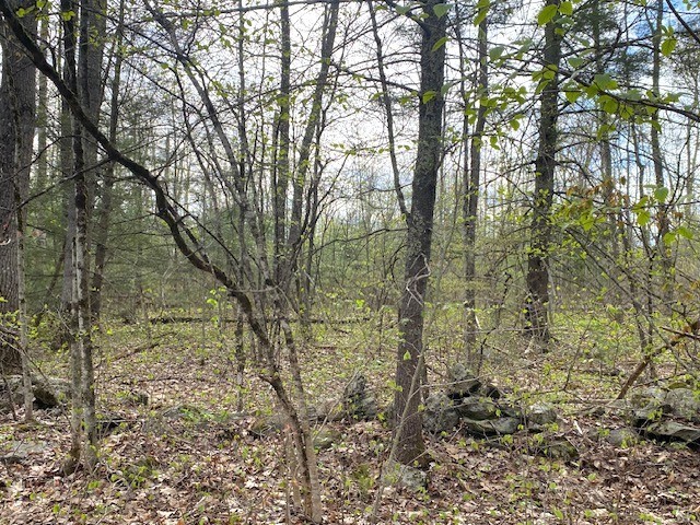 7-l New Athol Rd Property Photo 3
