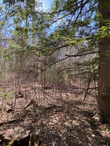 9-L New Athol Rd Property Photo 1
