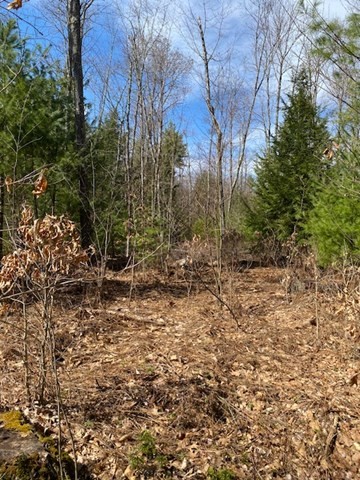 11-L New Athol Rd Property Photo 1