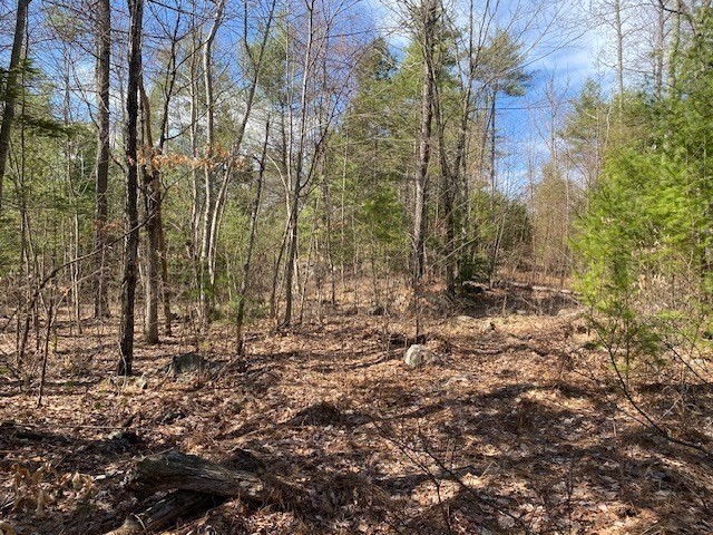 12-l New Athol Rd Property Photo 1