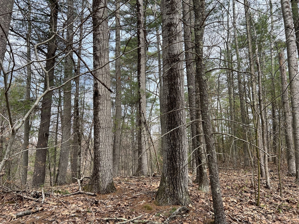 Lot 1 Monson Turnpike Road Property Photo 1