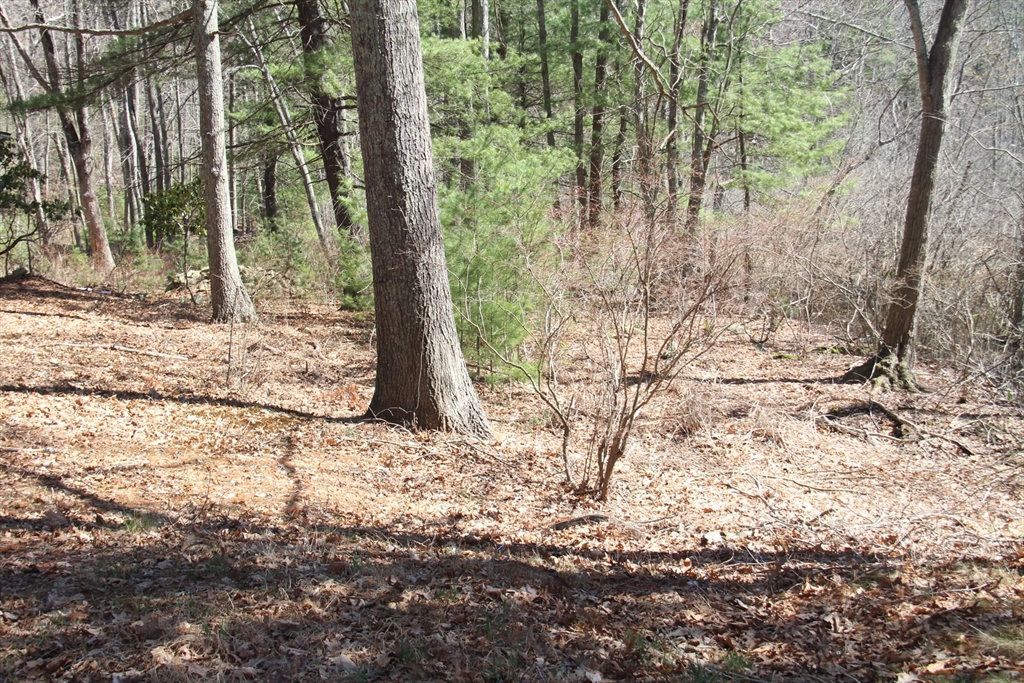 Dover Sherborn Real Estate Listings Main Image