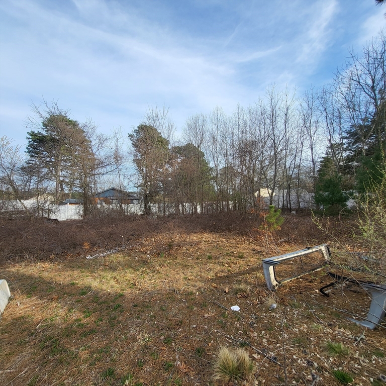 81 Maple Springs Road Property Photo 1
