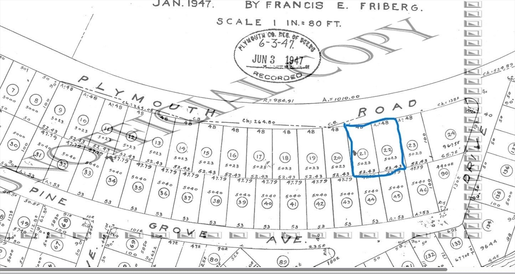 81 Maple Springs Road Property Photo 2