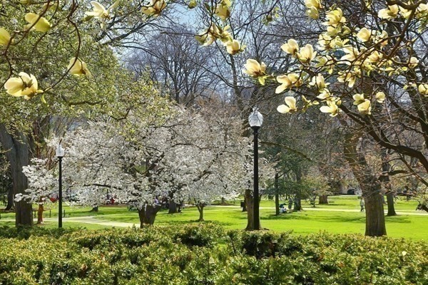93 Beacon Street Property Photo 3