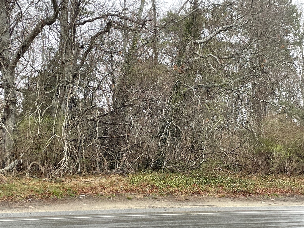 230 Attucks Ln Property Photo 1