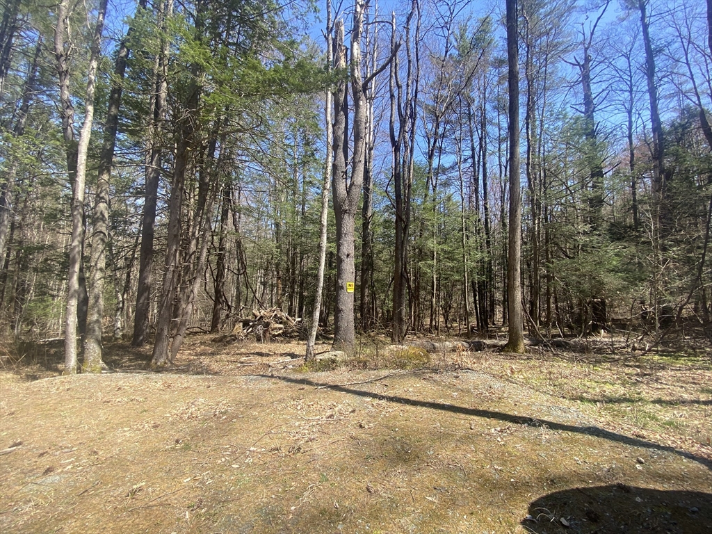 0 Schaefer Way Property Photo 1