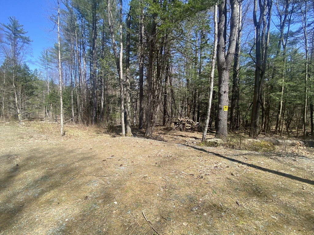 0 Schaefer Way Property Photo 3
