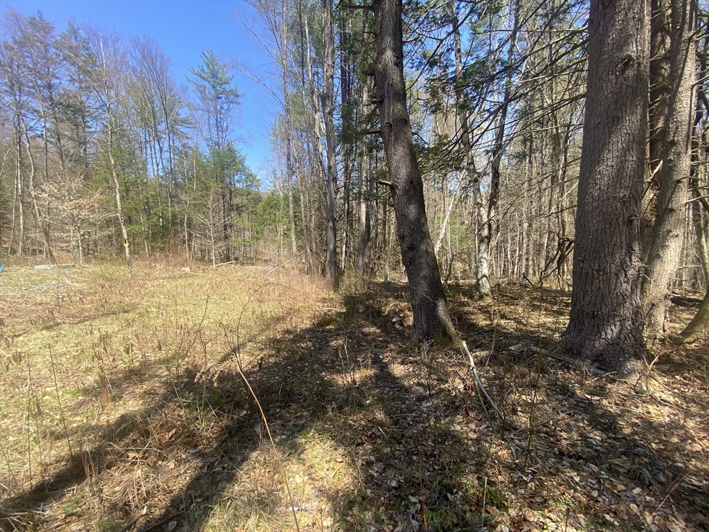 0 Schaefer Way Property Photo 4