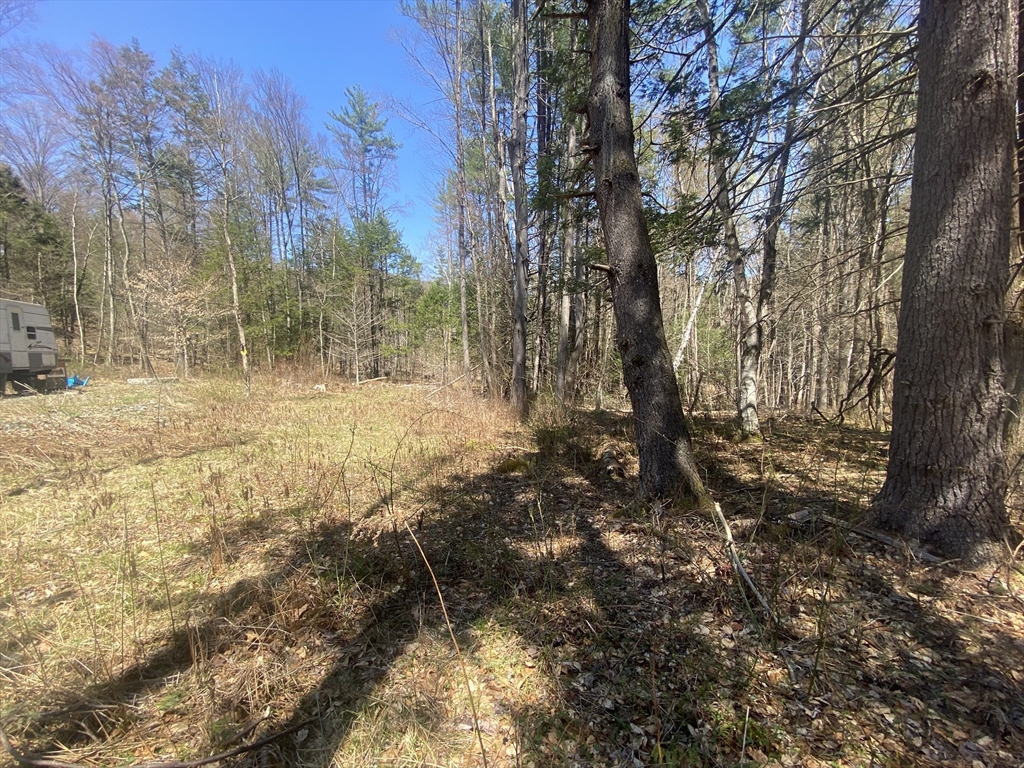 0 Schaefer Way Property Photo 5