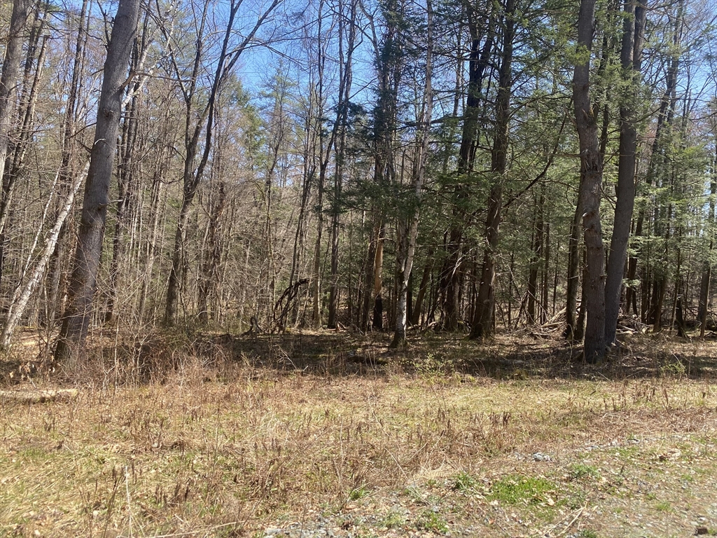 0 Schaefer Way Property Photo 7