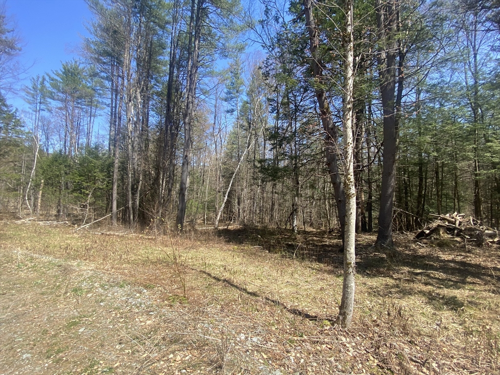0 Schaefer Way Property Photo 12