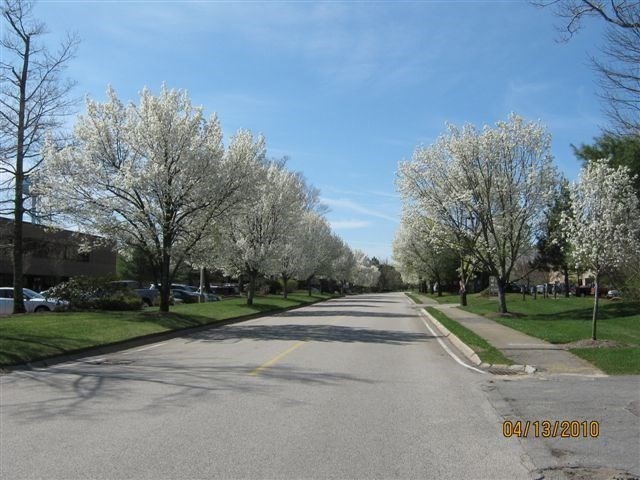 100 Corporate Park Drive Property Photo 4