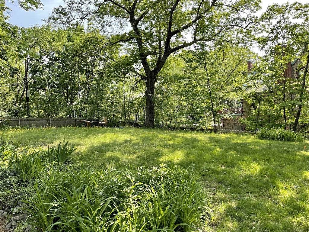 242 Walnut St Property Photo 21