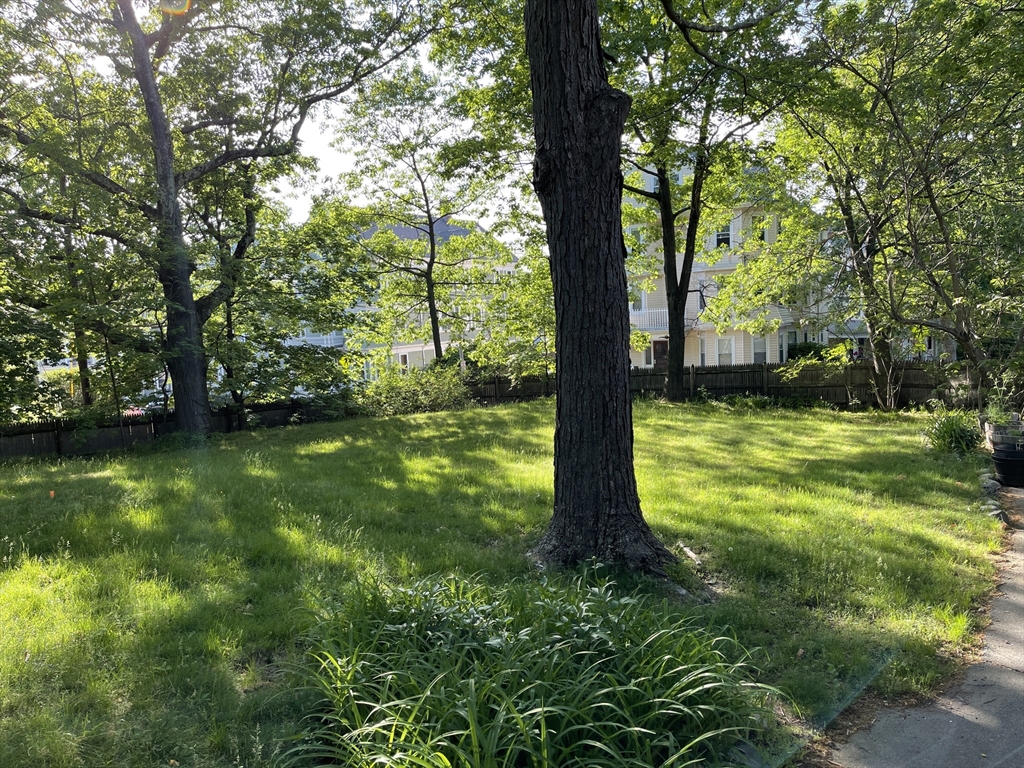 242 Walnut St Property Photo 23