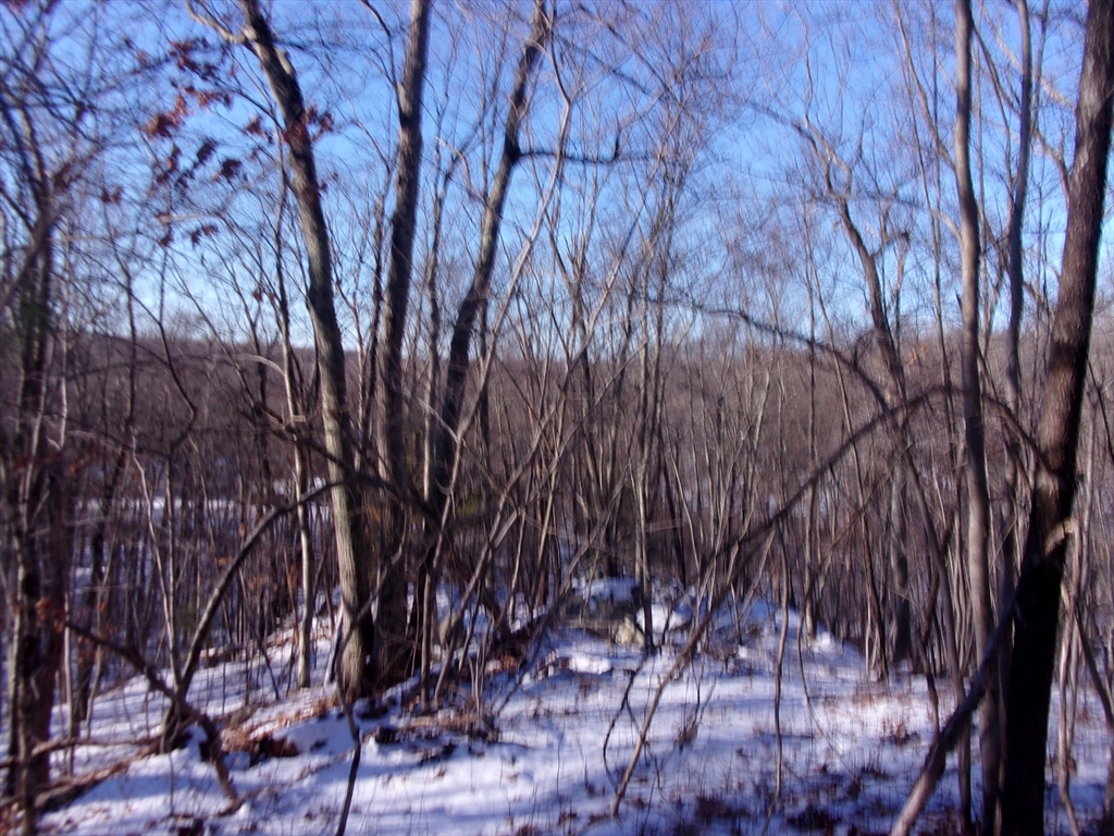 90 Chestnut Hill Road Property Photo 14