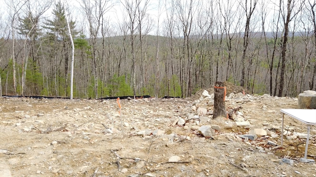 205 Cedar Swamp Road Property Photo 12