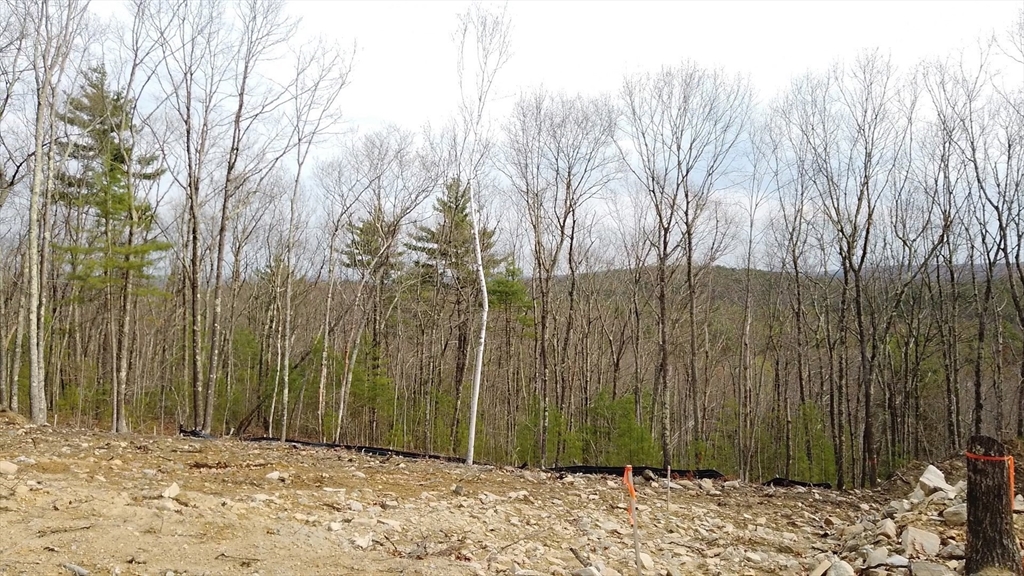 205 Cedar Swamp Road Property Photo 13