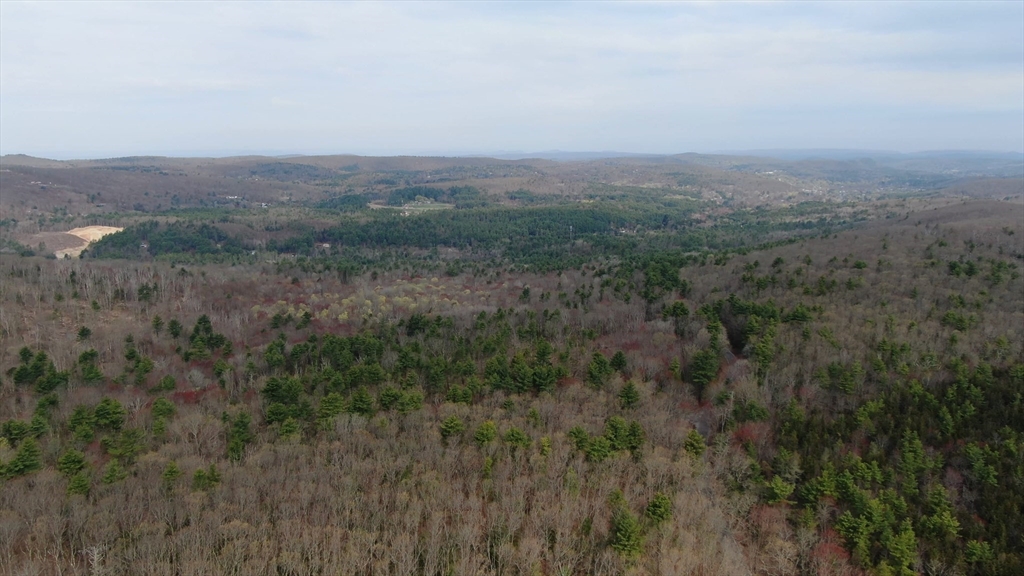 205 Cedar Swamp Road Property Photo 14