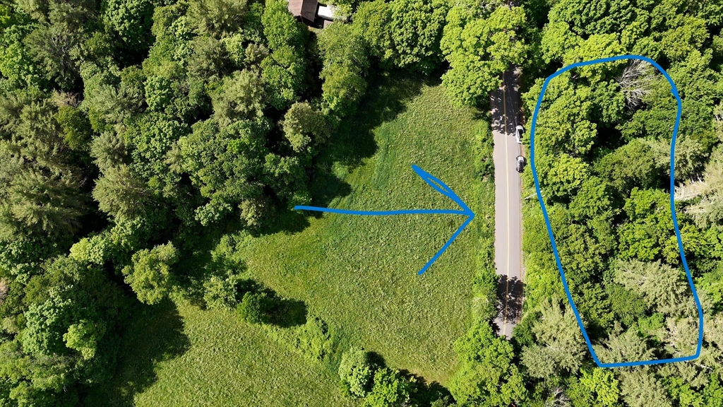 0 Brooks Pond Rd (small Parcel) Property Photo 1