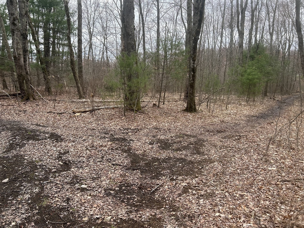 80 R East Street Property Photo 5