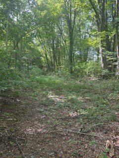 80 R East Street Property Photo 8