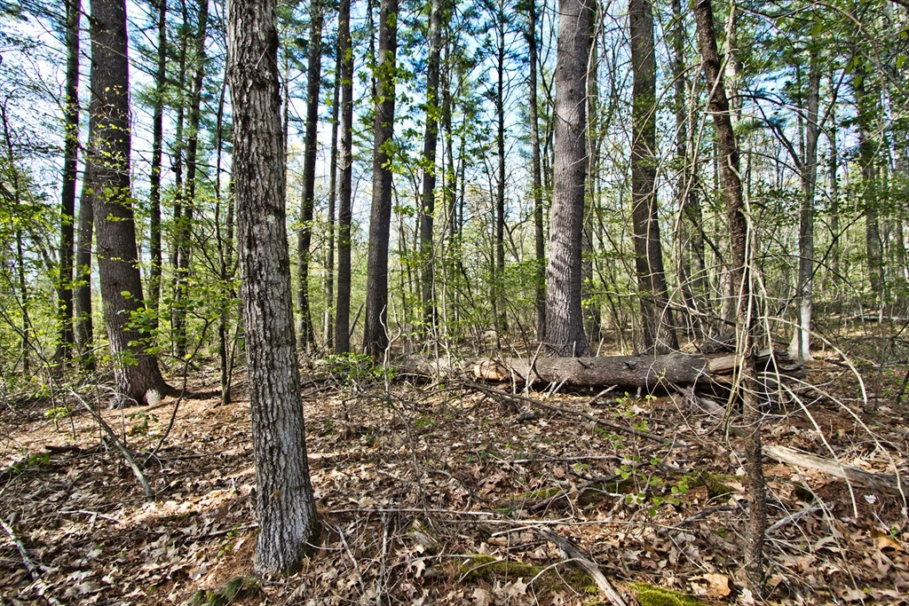 Lot A Kiwanis Beach Rd Property Photo 1