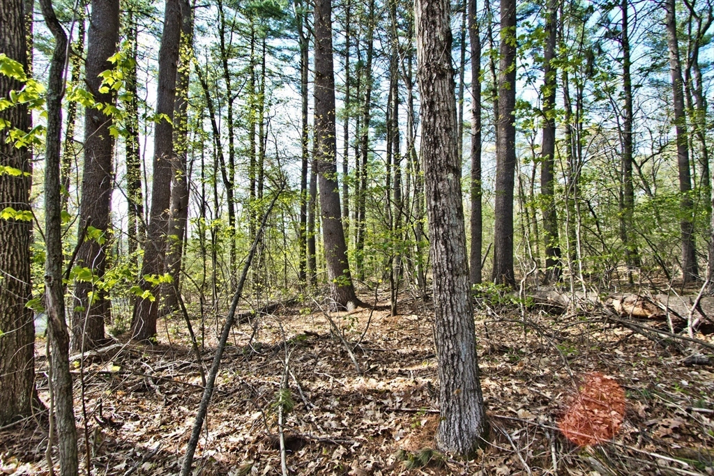 Lot B Kiwanis Beach Rd Property Photo 3